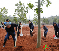 梅江区开展义务植树活动